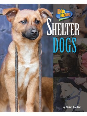 cover image of Shelter Dogs